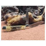 Case XX Stag Handle Pocket Knife NOS