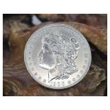 1900 Morgan Silver Dollar