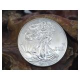 2015 .999 Fine Silver Eagle