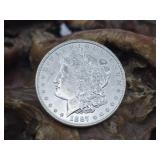 1887 Morgan Silver Dollar