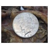 1923 S Peace Silver Dollar