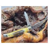 Case XX Stag Handle Pocket Knife NOS