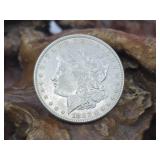 1882 Morgan Silver Dollar