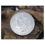 1886 Morgan Silver Dollar