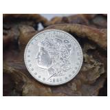 1885 Morgan Silver Dollar