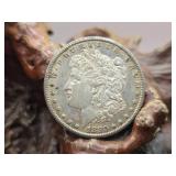 1880 S Morgan Silver Dollar