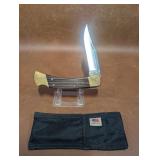 Buck 110 Lock Blade Knife with Sheath