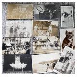 Antique Postcards Mostly RPPC
