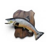 Brown Trout Real Skin Taxidermy Fish Mount