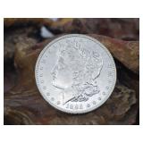 1885 Morgan Silver Dollar