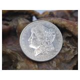 1882 S Morgan Silver Dollar