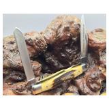 Case XX Stag Handle Pocket Knife NOS