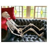 Halloween Articulated Skeleton Life Size Molded