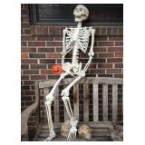 Halloween Articulated Skeleton Life Size Molded
