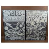 Framed Tales Of The Crypt No.42 and Weid Science