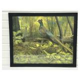 Vintage Print Pheasants in Forest , August