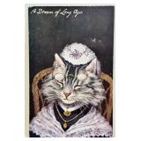 Tuckï¿½s Unused Postcard Cat ï¿½A Dream of Long Agoï¿½