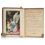 [Illustration, Chromolithograph Plates[