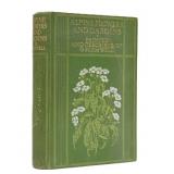 [Illustration] Alpine Flowers and Gardens