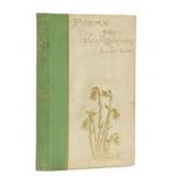 Emily Dickinson, Poems, 1st Edition