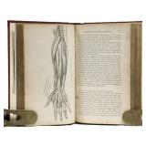 The  Philosophy of Health; Or, An Expositionï¿½