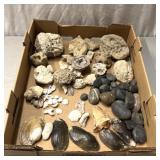 Agates/fossils/shells/other