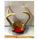 Deer mount