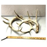 Deer sheds