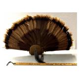 Turkey beard mount