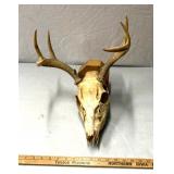 Deer mount