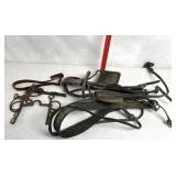 Horse reigns and tact