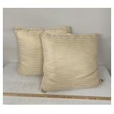 2 large decorative pillows