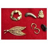 Jewelry/brooch/earring/pin