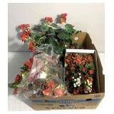 Christmas florals