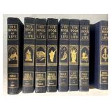The book of life bibles
