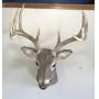 10 point Deer wall mount