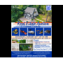 REAL ESTATE & PERSONAL PROPERTY AUCTION IN CADIZ
