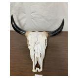 Bull Skull Horns