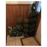 Plant Decor