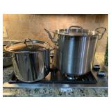 (2) Stainless Stock Pots