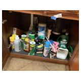 MIsc Chemicals , etc Under Kitchen Sink