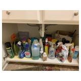 Cleaning Chemicals Under Hall Sink
