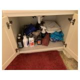 Misc In Cabinet Under Bathroom Sink & Drawers