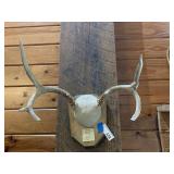 Deer Antlers 5pt
