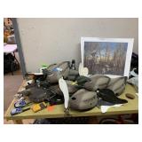 Reydell Hole Print, Decoys, etc
