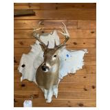 Deer Mount 10pt w/Leather