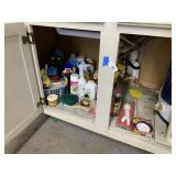 MIsc Chemicals Lower Cabinet
