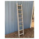 Aluminum Extension Ladder