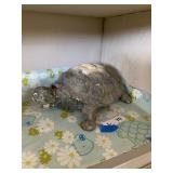 Turtle Decor
