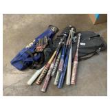 Aluminum Bats, Glove & Bags